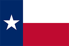 Jogo De ?cones Do Vetor Bandeiras E Selos Do Estado De Texas, EUA